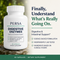 Persa Digestive Enzymes + Probiotics