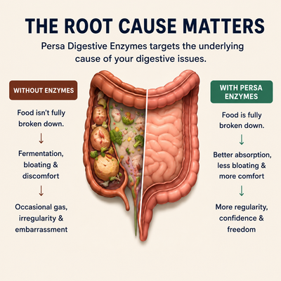 Persa Digestive Enzymes + Probiotics