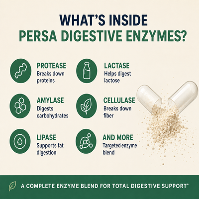 Persa Digestive Enzymes + Probiotics