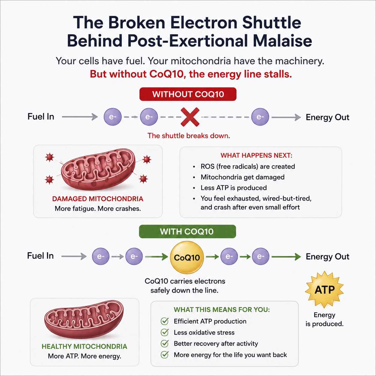 Why Your Body Can't Recover